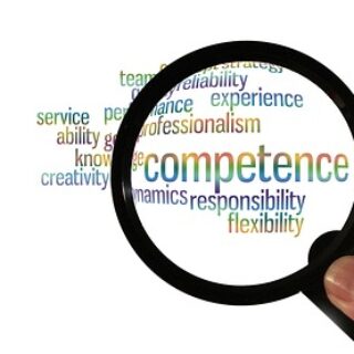 menselijke vaardigheden_competence-2741773_640